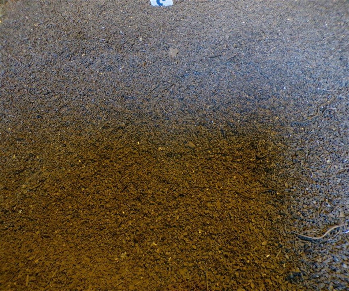 Magic Zoom small image