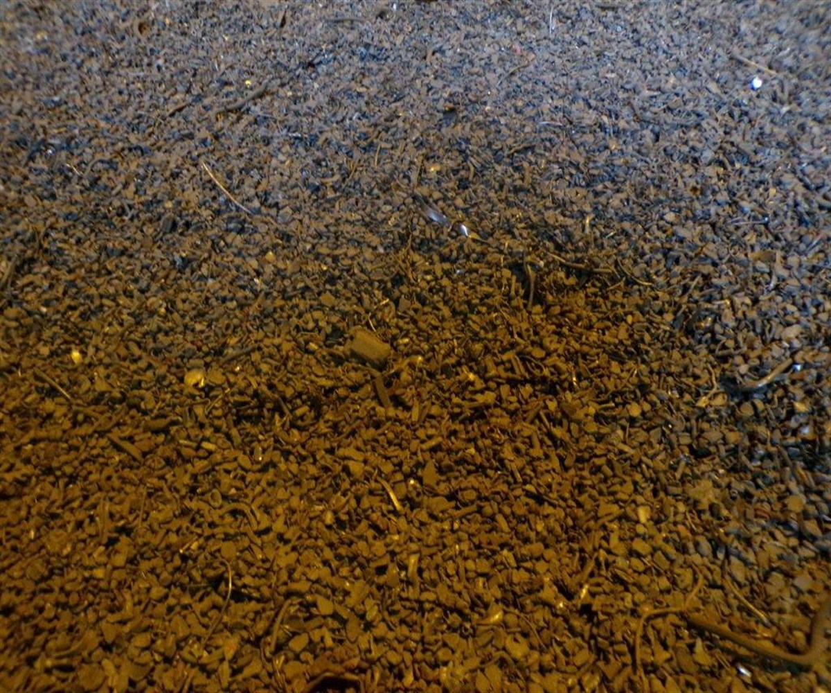 Magic Zoom small image