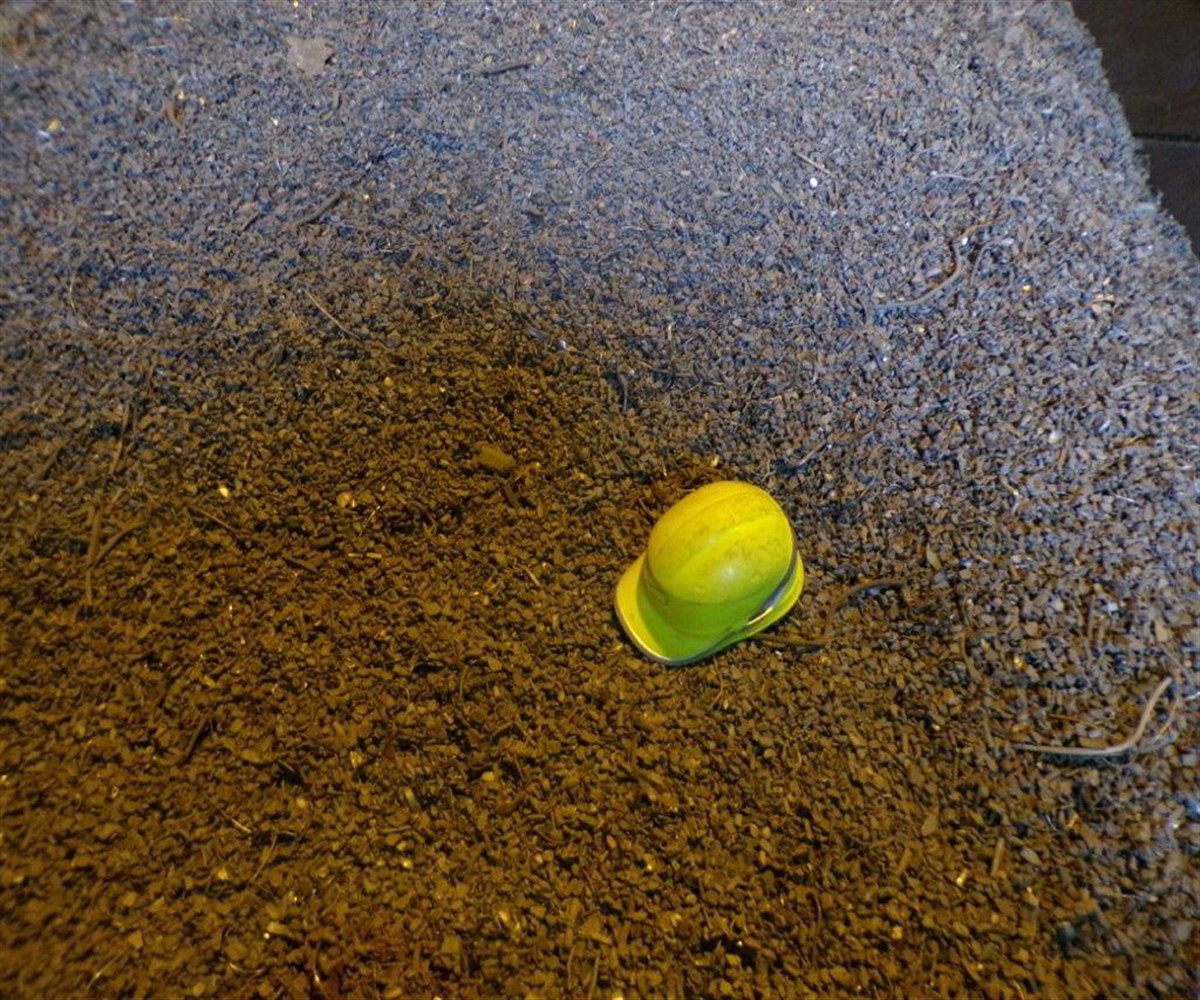 Magic Zoom small image