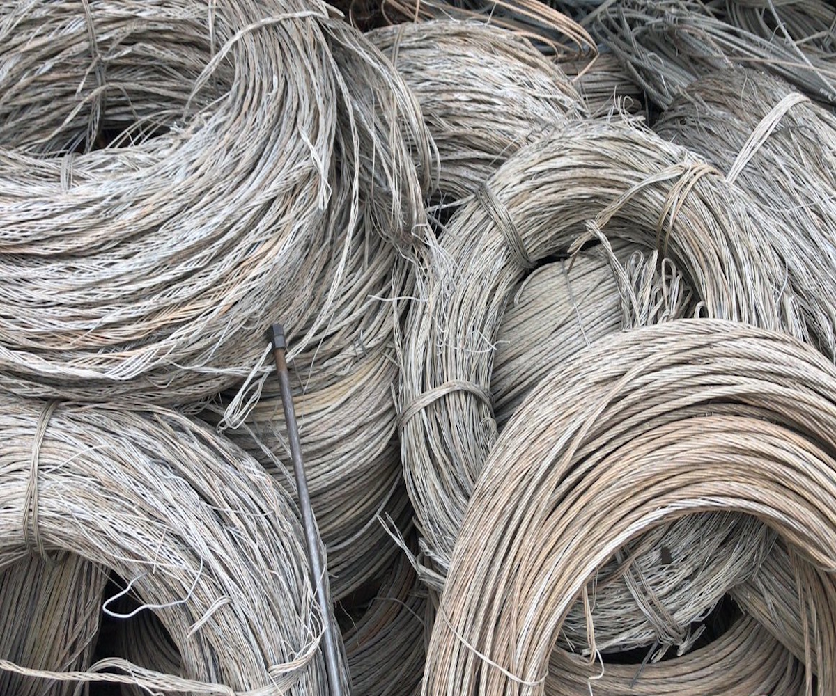 other leads