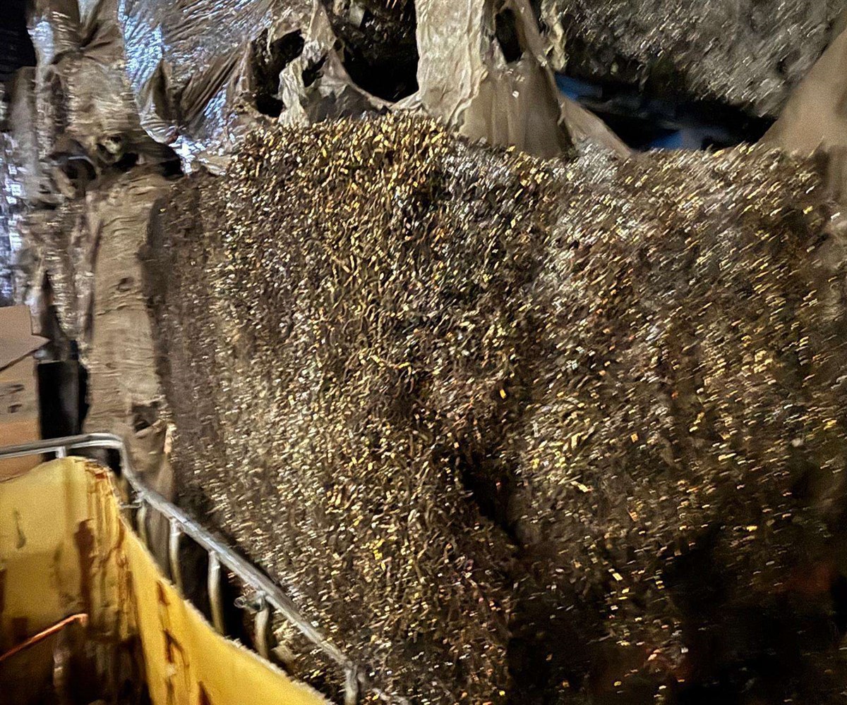 Magic Zoom small image