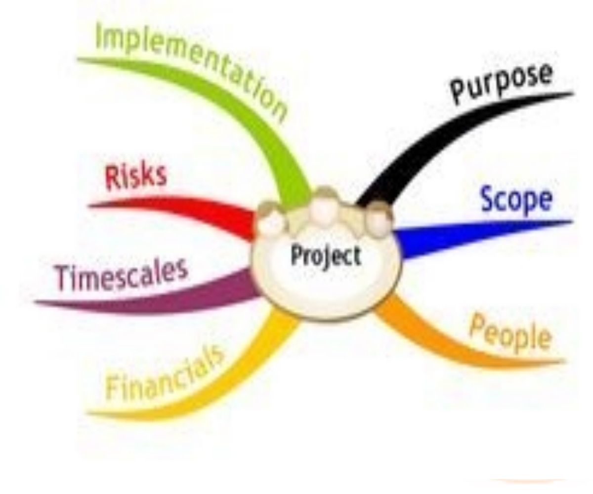 Project Management Consulting Service