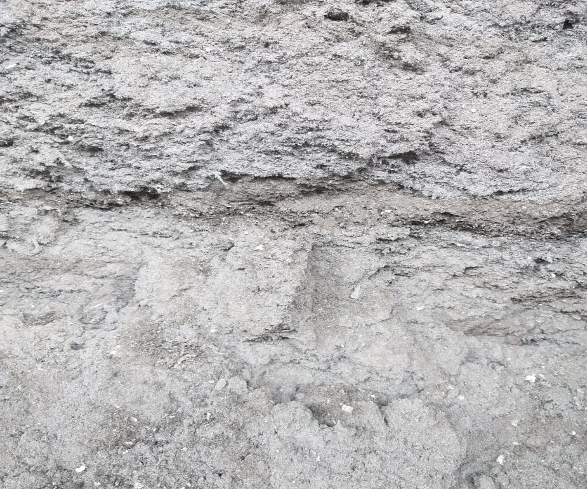 other leads