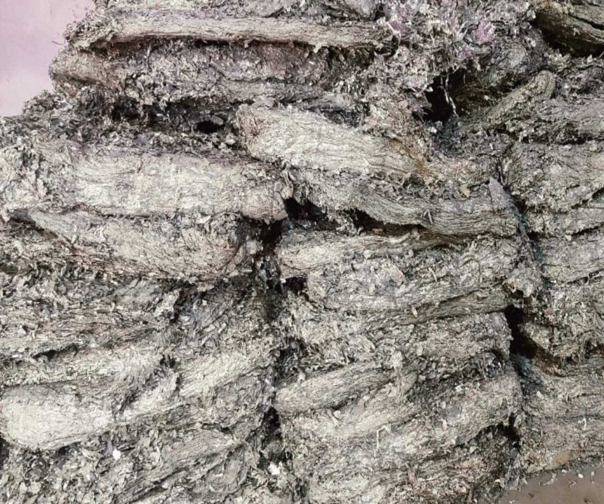 other leads