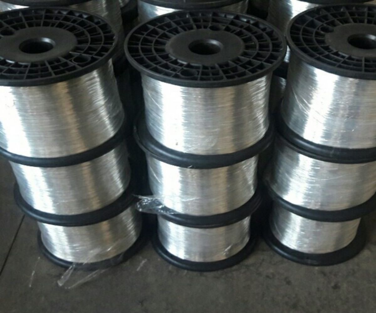 other leads
