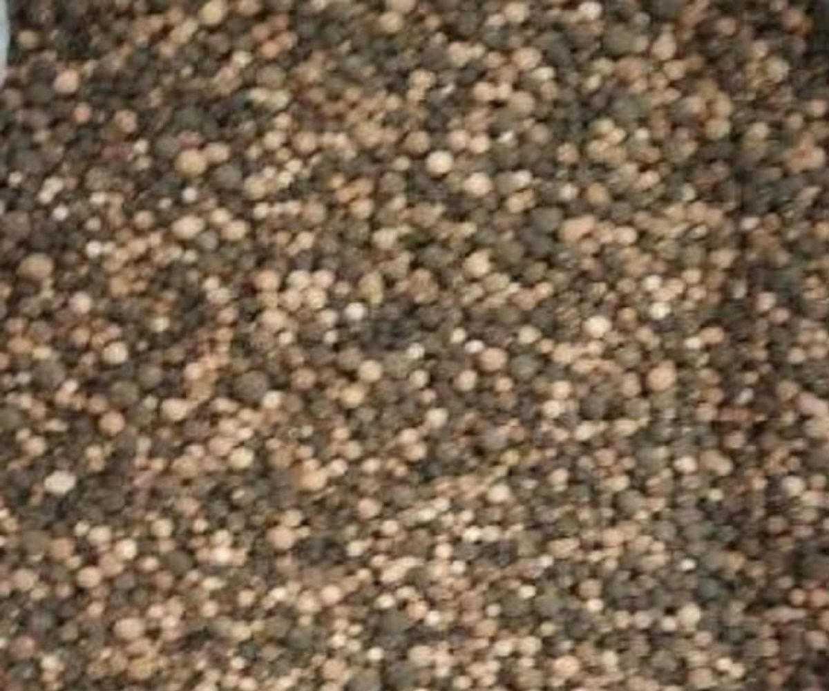 other leads
