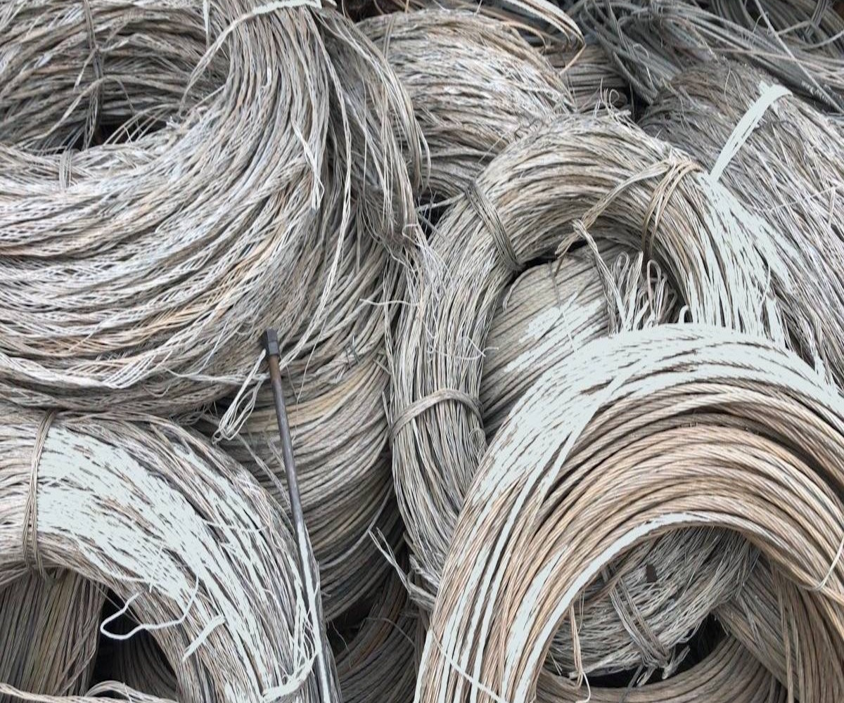other leads