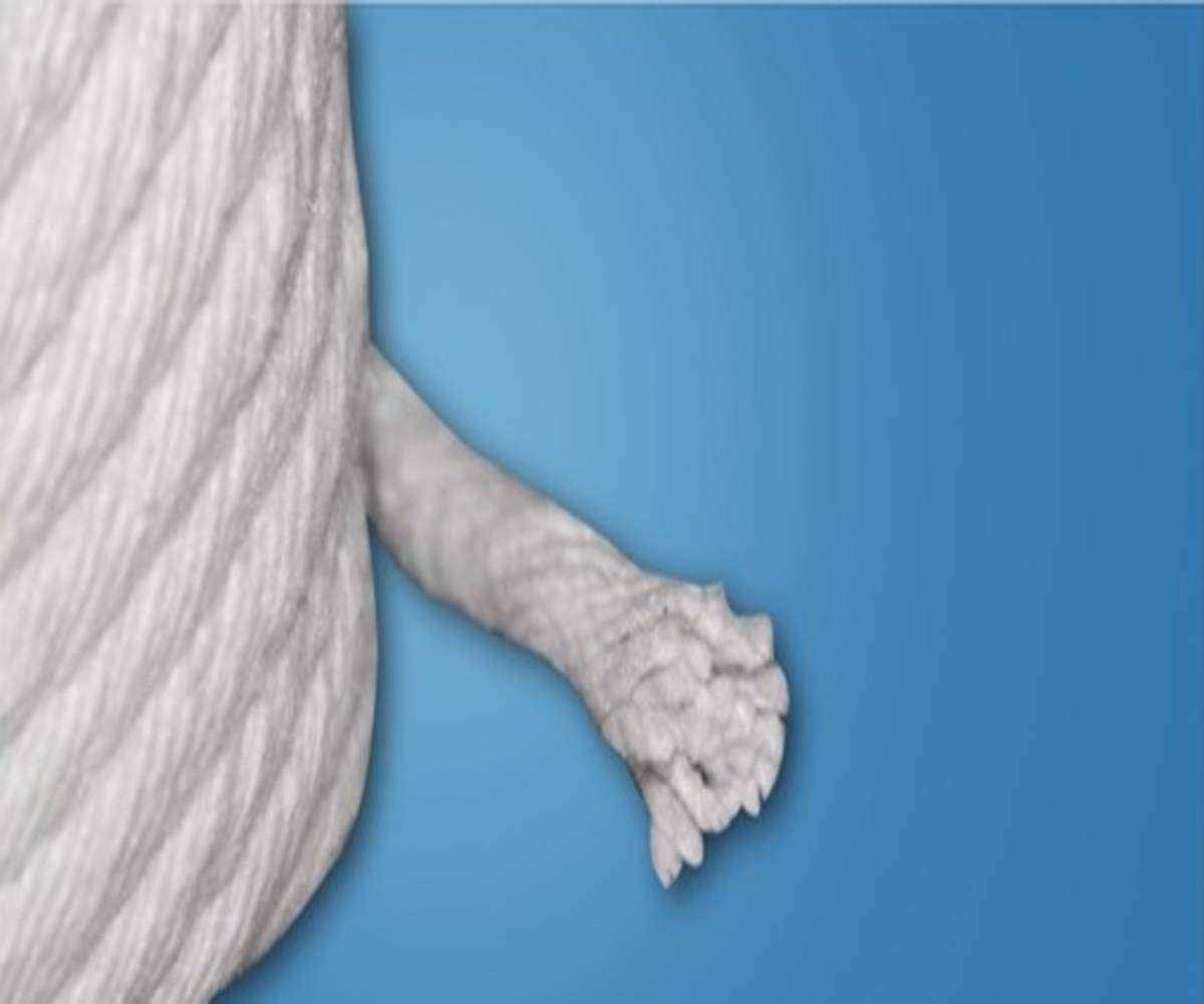 Ceramic Fiber Rope