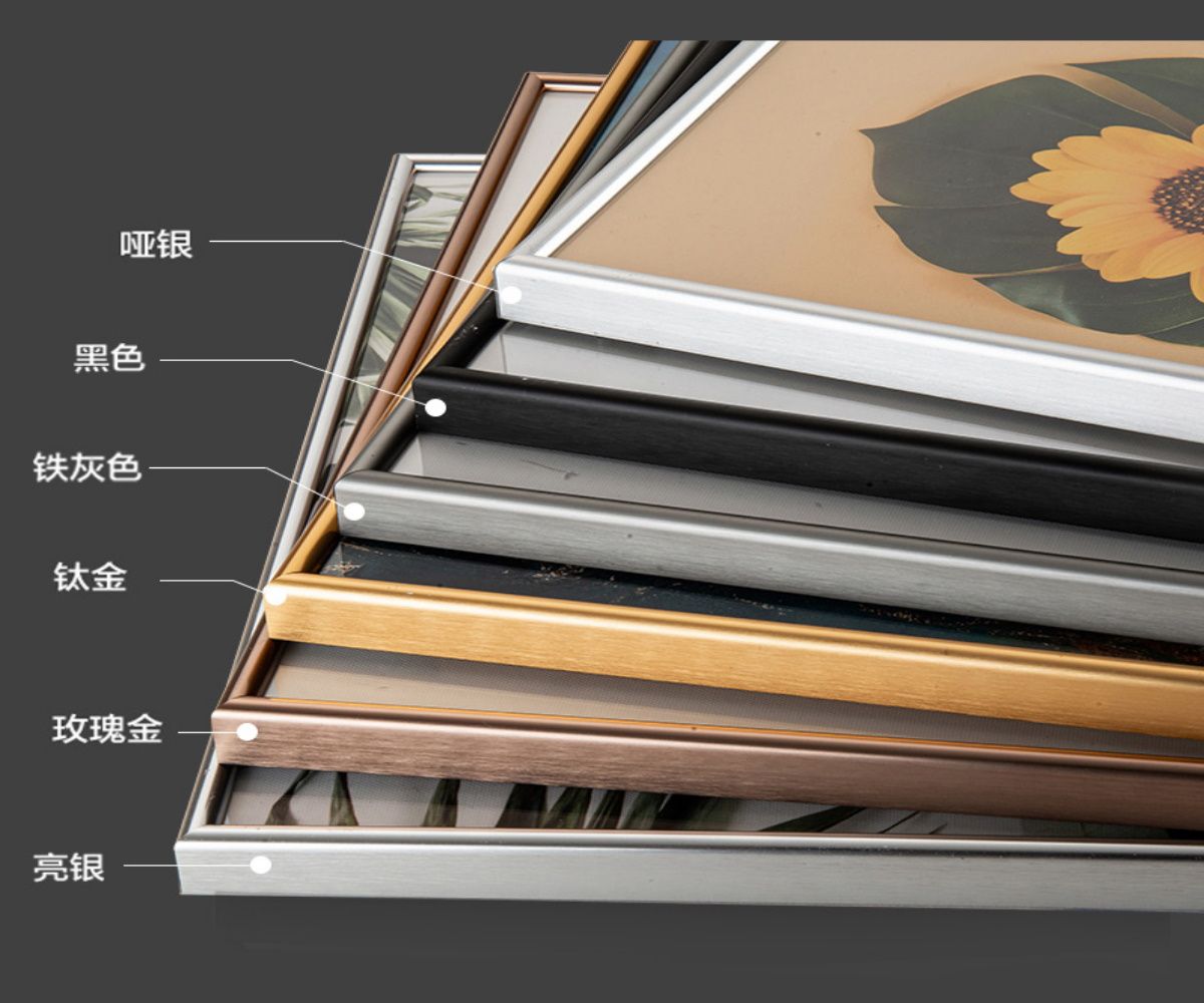 alloy frame price